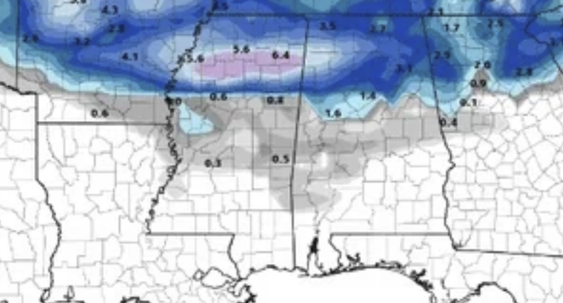 Polar Vortex induced Gulf Coast wintry weather potential